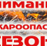 Внимание! Судакское лесничество ГКУ РК «Юго-восточное объединённое лесничество» информирует - Crimea-news.com