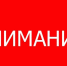Минприроды Крыма призывает оперативно сообщать о фактах обнаружения павших домашних свиней и диких кабанов - Минприроды