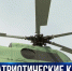 В севастопольском парке «Патриот» планируют открыть новый кластер - Crimea-news.com