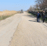 Работы по грейдированию - Crimea-news.com