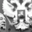 Не стало Владимира Жириновского - Crimea-news.com