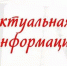 Начаты работы по отлову, вакцинации, стерилизации и идентификации животных без владельцев - Crimea-news.com
