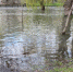 Мосты ушли под воду: показывает эпичные кадры бурлящего Салгира, затопившего Гагаринский парк - Crimea-news.com