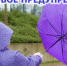 Штормовое предупреждение об опасных гидрометеорологических явлениях - Crimea-news.com