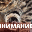 Ограничение водоснабжения - Crimea-news.com