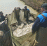 С подачей воды в Северо-Крымский канал в Республике Крым появится возможность для восстановления прудового фонда - Crimea-news.com