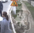 В Севастополе студент колледжа избил мужчину бейсбольной битой - Вести Крым