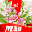 1 - Crimea-news.com