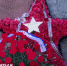 В Крыму почтили память подпольщиков, погибших в годы Великой Отечественной Войны - Crimea-news.com