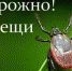Внимание: сезон клещей! - Crimea-news.com
