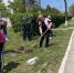 В поселке Раздольное прошел очередной субботник - Crimea-news.com