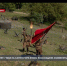 Спустя 78 лет: 7 мая на Сапун-горе вновь воссоздали знаменитый штурм - Crimea-news.com