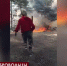 В Херсонской области волонтёры вышли на тушение лесных пожаров - Crimea-news.com