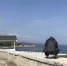 Набережная Алушты всего через две недели должна быть идеальной. Рабочим нужно поторопиться. - Крымская правда