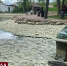 В мелитопольском парке имени Горького начались работы по очистке пруда - Crimea-news.com