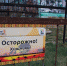 В "Тайгане" ягуар напал на человека - Crimea-news.com
