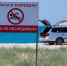 Евпаторию назвали одним из лучших направлений для автотуризма - Crimea-news.com