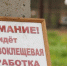 В Крыму растёт количество укушенных клещами людей - Крым 24