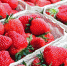 Цены на сельхозпродукцию в Крыму в среднем снизились на 30% - Крымская правда