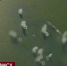 Украинская военно-морская база в Очакове разгромлена - Crimea-news.com