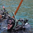 Водолазы МЧС установили флаг России на дне Черного моря - Crimea-news.com