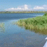 Полицейский в Крыму спас убежавшего из дома и застрявшего в водоеме мальчика - КрымИнформ