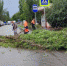 Автовладельцев в Симферополе призвали оставаться дома - Вести Крым