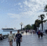 Население Крыма выросло на 2,3% за семь лет за счет мигрантов - Crimea-news.com