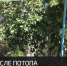 Симферополь борется с последствиями стихии - Crimea-news.com