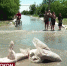 В село Новоандреевка Симферопольского района пришла вода - Crimea-news.com