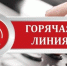 Работает телефон «Горячей линии» для приема обращений от населения по вопросам легализации трудовых отношений - Crimea-news.com