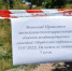 В крымской столице ликвидируют 78 гектар амброзии (видео) - Администрация города Симферополя