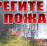 Берегите лес! - Crimea-news.com