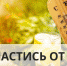 Как защититься от жары - Crimea-news.com