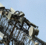В России планируют развивать связь 6G - Crimea-news.com