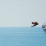 Crimea Cliff Diving World Cup - Туристический портал
