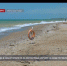 С начала года в Севастополе из-за несчастных случаев на воде погибли 6 человек - Crimea-news.com