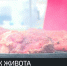 Гастрономический фестиваль «Шашлык Fest» проходит в Соколином - Crimea-news.com