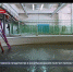 Рыбохозяйственное предприятие в Инкермане весной получит первую чёрную икру - Crimea-news.com