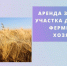 Минимущество Крыма предоставит в аренду земельный участок для ведения растениеводства в Сакском районе - Crimea-news.com