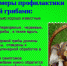 Территориальный отдел по Южному берегу Крыма информирует: О мерах профилактики отравлений грибами - Crimea-news.com