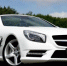 Бывший председатель кооператива в Крыму потребовал Mercedes в обмен на землю - Вести Крым