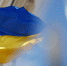 Политолог назвал точку отсчета потери Украиной своей независимости - Crimea-news.com