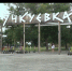 Как сейчас выглядит севастопольский парк «Учкуевка»? - Crimea-news.com