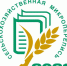 Экзотический фрукт, выращиваемый крымским солнцем - Crimea-news.com