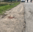 В Кировском районе легковушка сбила мальчика на велосипеде - Крым 24