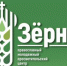 Православный молодёжный центр открыли в Крыму - Вести Крым
