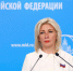 В МИД РФ рассчитывают, что приезд МАГАТЭ остановит ядерный шантаж Киева - Crimea-news.com