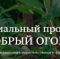 Приглашаем жителей Красноперекопского района принять участие в агроволонтерской акции «Добрый огород» - Crimea-news.com
