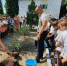 В Симеизе высадили Дерево Памяти - Crimea-news.com